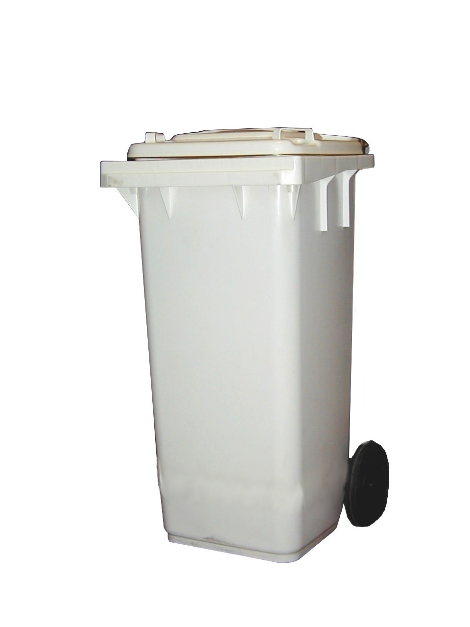 ABFALLBEHÄLTER 120 Liter, Kunststoff, fahrbar